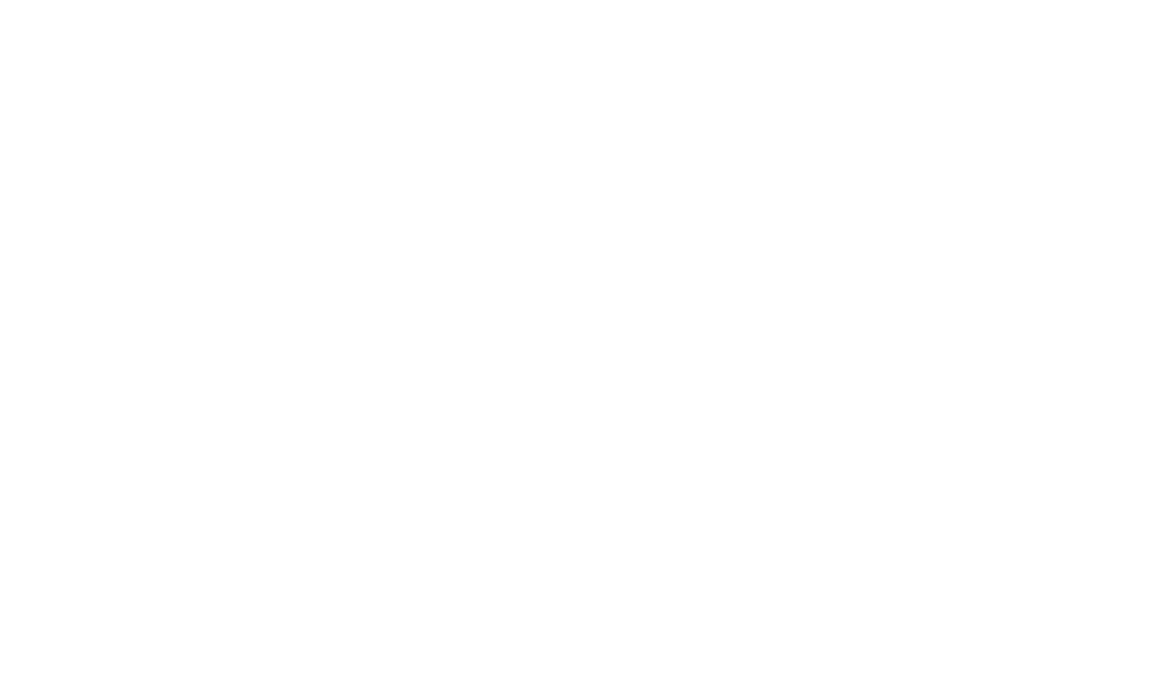 Premium Equity Logo